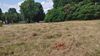 Hawkins Rd photo